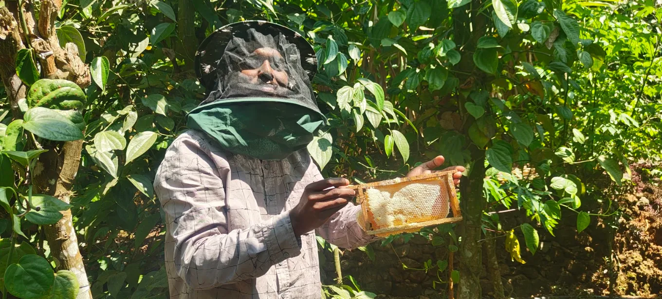 A Beginner’s Guide to Beekeeping and Natural Honey